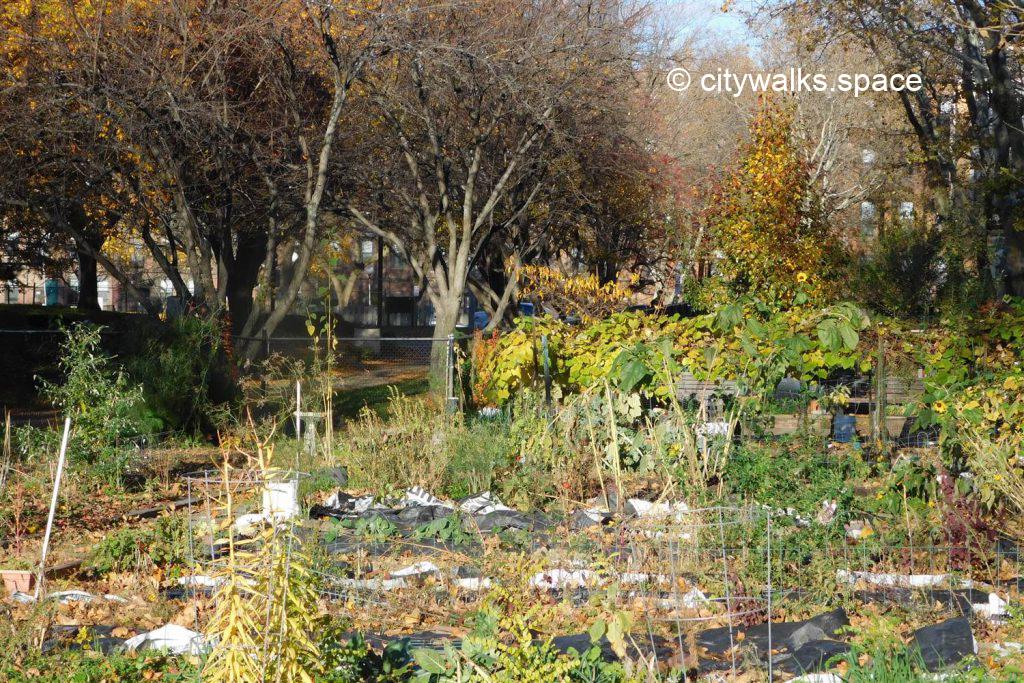 The gardens of the South End, Boston
